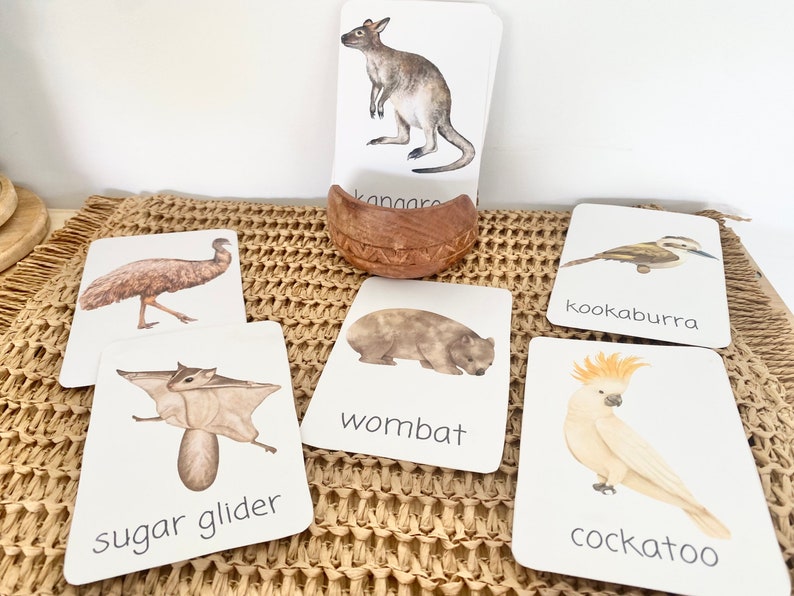 AUSTRALIA flashcards VOCABULARY Ausisie native animal morning basket image 1