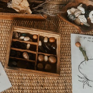 Pu&ograve; includere: Una scatola di legno con scomparti pieni di piccoli oggetti naturali come pietre, conchiglie e semi. Un foglio di carta bianco con il testo "Puoi aggiungere delle pietre al granchio?" e un disegno di un granchio.