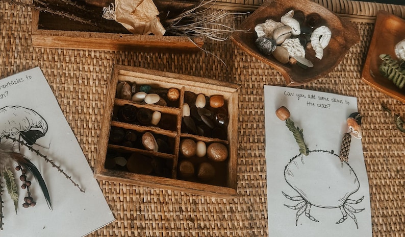 Pu&ograve; includere: Una scatola di legno con scomparti pieni di piccoli oggetti naturali come pietre, conchiglie e semi. Un foglio di carta bianco con il testo "Puoi aggiungere delle pietre al granchio?" e un disegno di un granchio.