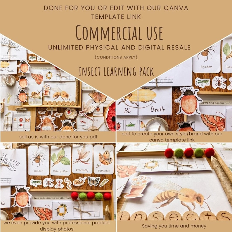 Commercial Use , Kids Early Learning Insect Pack , Resale Plr - Etsy