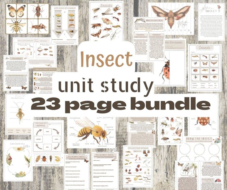 Mini insect unit nature study image 6