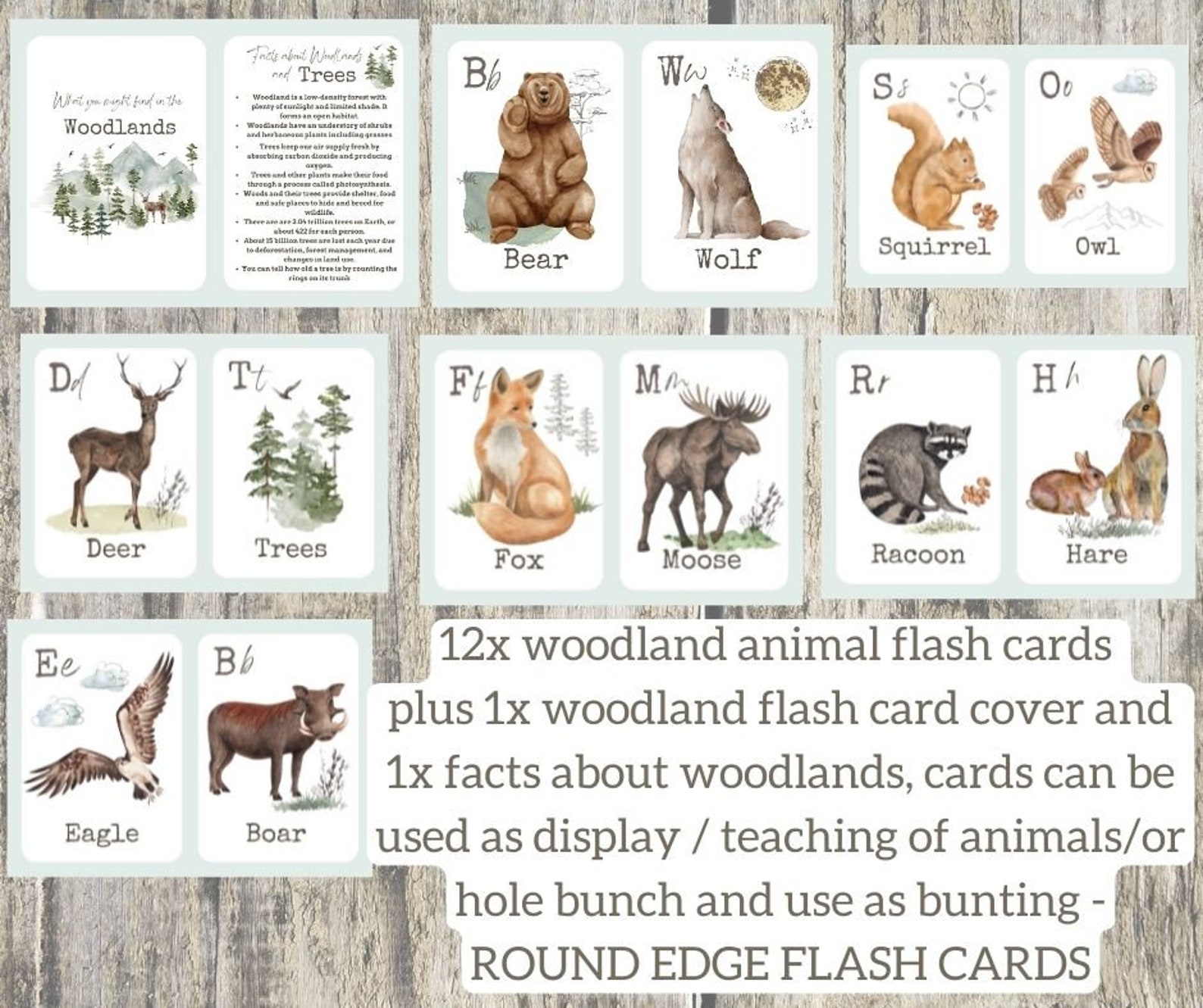 WOODLAND ANIMALS Flash Cards Name&number Match Etsy