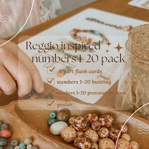 Early learning number 1-20 pack - nature inspired