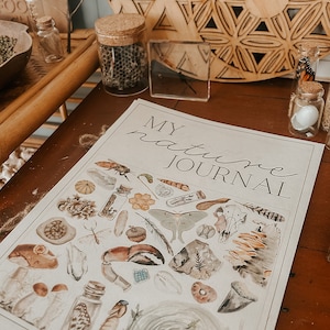 K&ouml;nnte beinhalten: Ein wei&szlig;es Journal mit dem Text "My Nature Journal" auf dem Cover. Das Cover zeigt verschiedene Illustrationen zum Thema Natur, darunter einen Nachtfalter, eine Feder, eine Krabbenklaue, einen Farn, einen Pilz, eine Spinne und ein Nest.