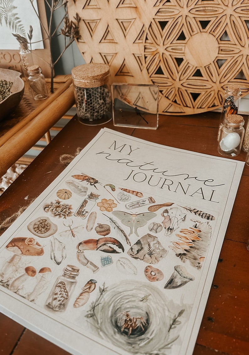 K&ouml;nnte beinhalten: Ein wei&szlig;es Journal mit dem Text "My Nature Journal" auf dem Cover. Das Cover zeigt verschiedene Illustrationen zum Thema Natur, darunter einen Nachtfalter, eine Feder, eine Krabbenklaue, einen Farn, einen Pilz, eine Spinne und ein Nest.