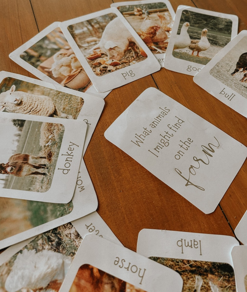 May include: A set of flashcards with images of farm animals, including a pig, a goose, a bull, a donkey, a lamb, and a horse. The cards are white with brown text and images. The text on the cards reads "What animals I might find on the farm".