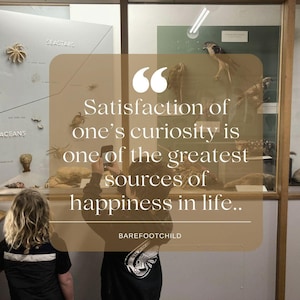 May include: A person taking a photo of a museum display with a quote about curiosity being a source of happiness. The quote reads "Satisfaction of one's curiosity is one of the greatest sources of happiness in life." The quote is attributed to "BAREFOOTCHILD".