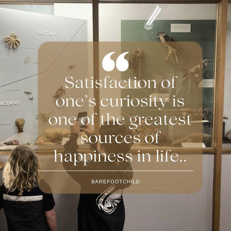 May include: A person taking a photo of a museum display with a quote about curiosity being a source of happiness. The quote reads "Satisfaction of one's curiosity is one of the greatest sources of happiness in life." The quote is attributed to "BAREFOOTCHILD".