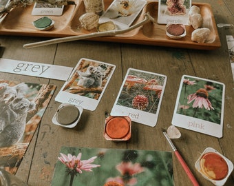 colours in nature | morning basket | montessori | nature school