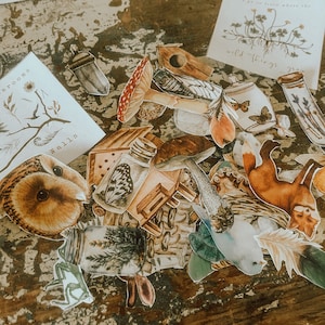 K&ouml;nnte beinhalten: Eine Sammlung von skurrilen Wald-Stickern mit verschiedenen Elementen, darunter eine braune Eule, ein Fuchs, ein Pilz, ein Vogelhaus, ein Glas mit einem Schmetterling und ein kleines Haus mit einem Bienenstock. Die Sticker sind auf wei&szlig;em Papier gedruckt und haben eine Vintage-&Auml;sthetik.