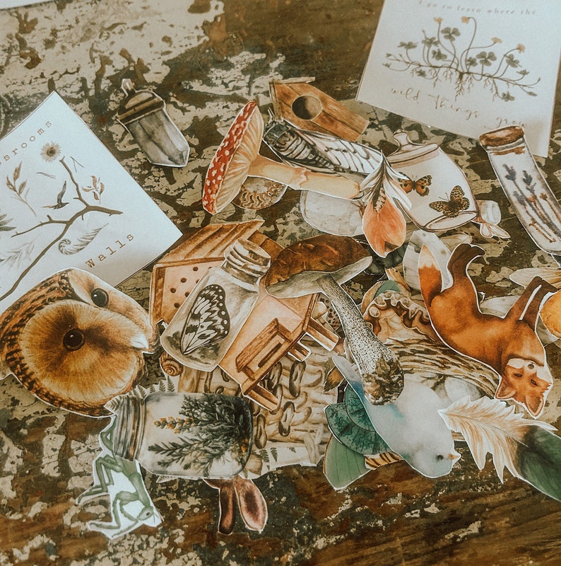 K&ouml;nnte beinhalten: Eine Sammlung von skurrilen Wald-Stickern mit verschiedenen Elementen, darunter eine braune Eule, ein Fuchs, ein Pilz, ein Vogelhaus, ein Glas mit einem Schmetterling und ein kleines Haus mit einem Bienenstock. Die Sticker sind auf wei&szlig;em Papier gedruckt und haben eine Vintage-&Auml;sthetik.
