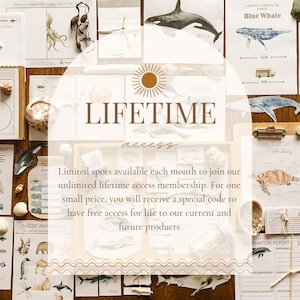 Może przedstawiać: Materiały edukacyjne z ilustracjami życia morskiego, w tym wieloryb&oacute;w, rekin&oacute;w i ż&oacute;łwi morskich. Słowo "LIFETIME" jest widoczne, z tekstem o nieograniczonym dostępie do produkt&oacute;w. Tematem są zasoby edukacyjne.