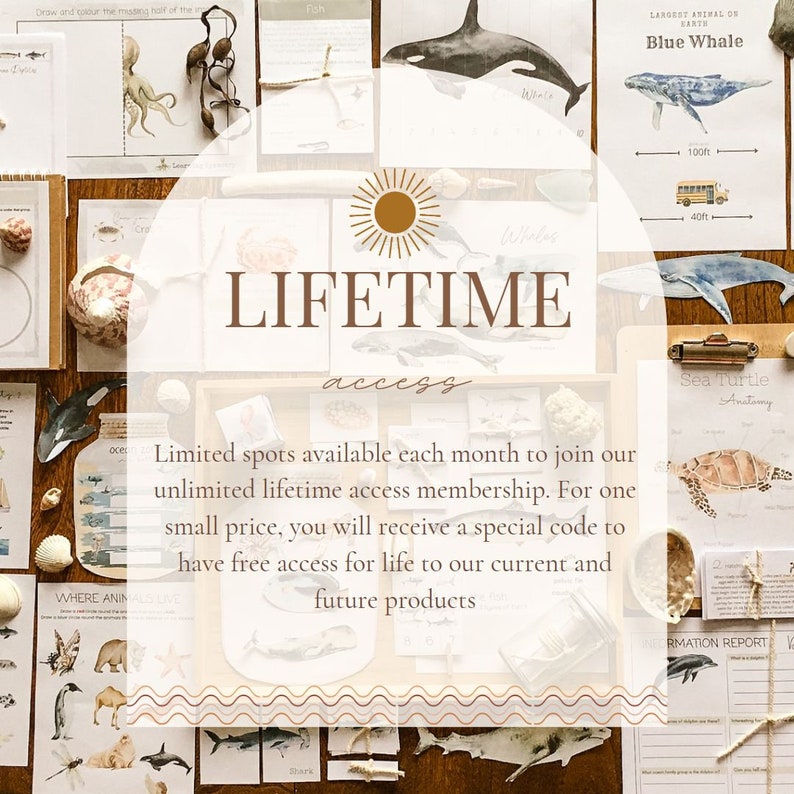Może przedstawiać: Materiały edukacyjne z ilustracjami życia morskiego, w tym wieloryb&oacute;w, rekin&oacute;w i ż&oacute;łwi morskich. Słowo "LIFETIME" jest widoczne, z tekstem o nieograniczonym dostępie do produkt&oacute;w. Tematem są zasoby edukacyjne.