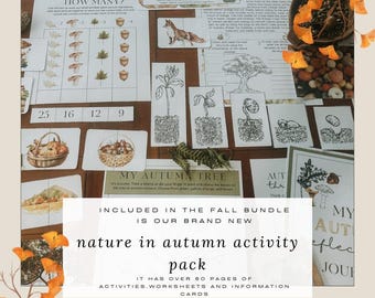 Pacchetto di attività e schede di lavoro sulla natura in autunno - 90 pagine - SCUOLA DELLA NATURA - Wildschool - Reggio ispirato - età miste