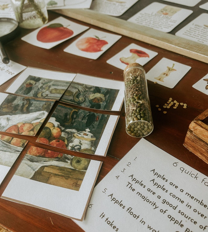 Pu&ograve; includere: Primo piano di una carta bianca con testo nero che recita "6 fatti rapidi sulle mele". La carta &egrave; su un tavolo di legno con un barattolo di vetro pieno di semi di mela verdi. Ci sono anche diverse carte con immagini di mele e una natura morta con mele.