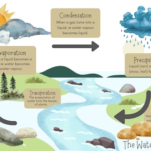 Pósteres del ciclo del agua: obsequio en nuestro sitio web.