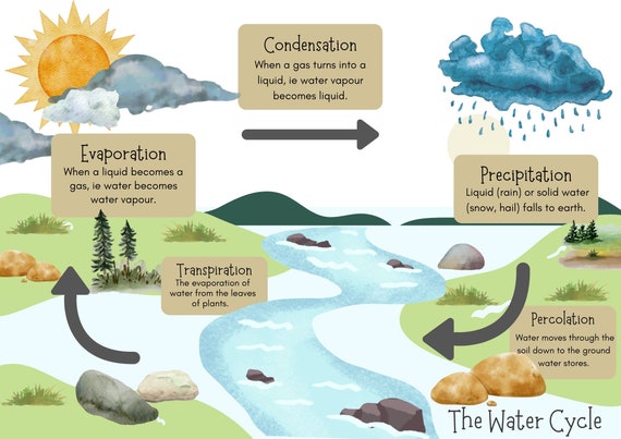 the water cycle posters - freebie over at our website