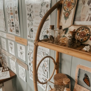 Von der Natur inspiriertes Lernposter - Naturschule - Homeschool - Klassenzimmerdeko |wildschool |reggio emillia