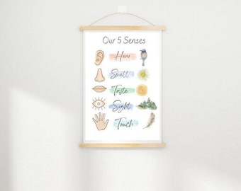 5 senses poster A4