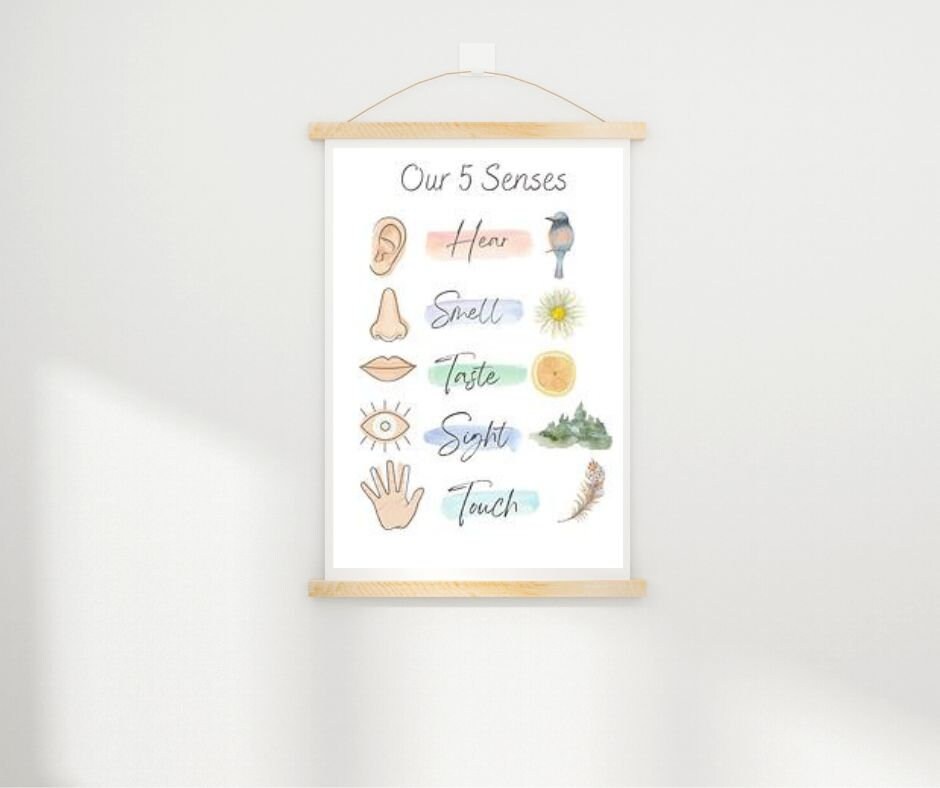 5 Senses Poster A4 - Etsy