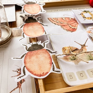 Mini Beast - Insect MORNING BASKET BUNDLE - Etsy