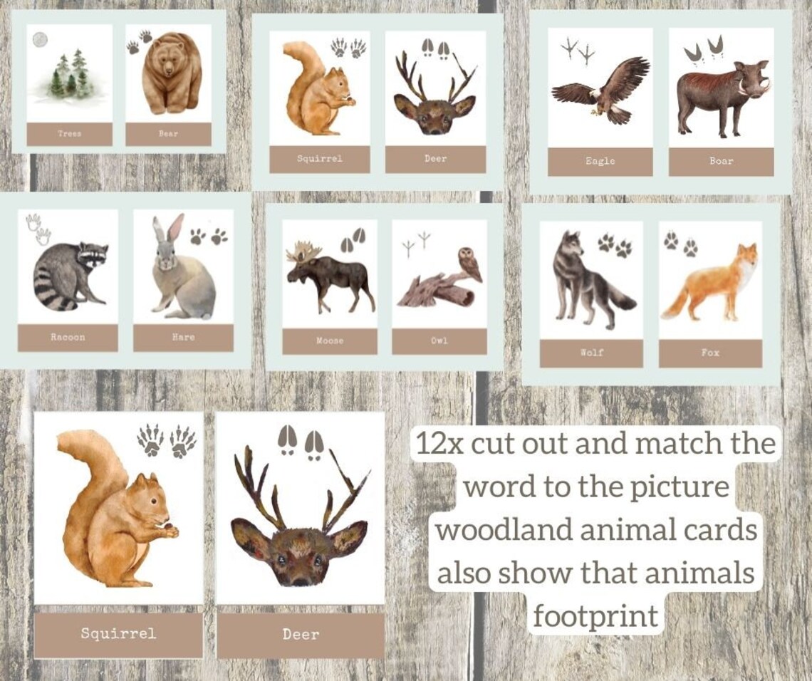 WOODLAND ANIMALS Flash Cards Name&number Match Etsy