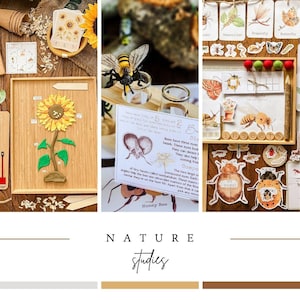 Może przedstawiać: Edukacyjne materiały do nauki przyrody. Zawiera model słonecznika, ilustracje owad&oacute;w i figurkę pszczoły. Wyświetlany jest tekst "NATURE studies".