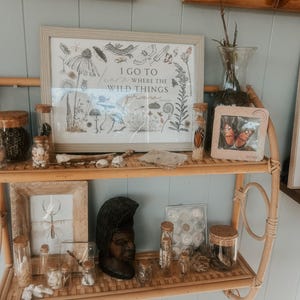 May include: A wooden shelf with two tiers, decorated with various items, including a framed print with the text "I go to learn where the wild things are", glass jars with cork tops, a wooden sculpture of a person's head, and a framed butterfly specimen.