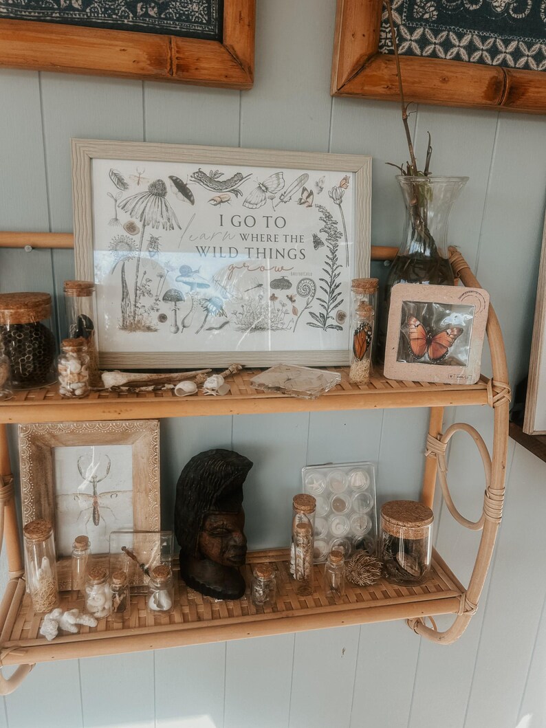May include: A wooden shelf with two tiers, decorated with various items, including a framed print with the text "I go to learn where the wild things are", glass jars with cork tops, a wooden sculpture of a person's head, and a framed butterfly specimen.