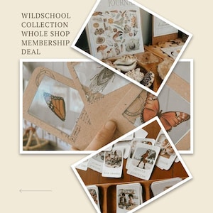 Może przedstawiać: Zestaw materiał&oacute;w edukacyjnych z dziennikiem, fiszkami i kartami z ilustracjami owad&oacute;w i motyli. Widoczny jest tekst "WILDSCHOOL COLLECTION WHOLE SHOP MEMBERSHIP DEAL".
