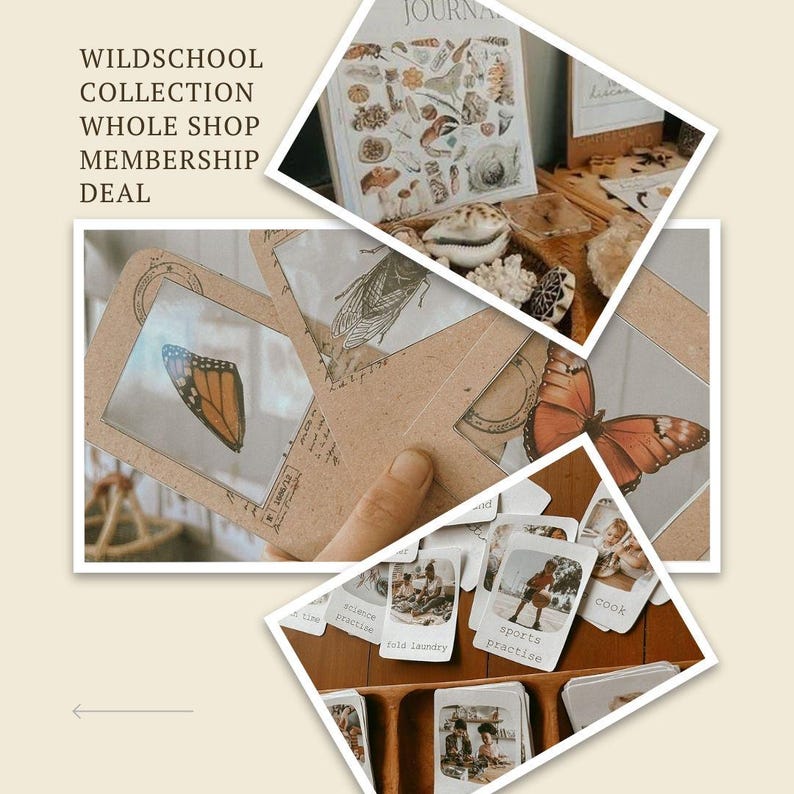 Może przedstawiać: Zestaw materiał&oacute;w edukacyjnych z dziennikiem, fiszkami i kartami z ilustracjami owad&oacute;w i motyli. Widoczny jest tekst "WILDSCHOOL COLLECTION WHOLE SHOP MEMBERSHIP DEAL".