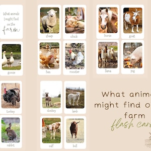 REGGIO inspired FARM ANIMAL vocabulary flashcards montessori early learning wildschool image 7