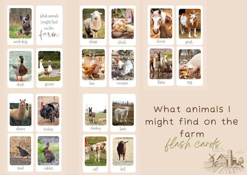 May include: A set of 16 farm animal flash cards. Each card features a different farm animal with its name printed below the image. The cards are white with a rounded border. The text "What animals I might find on the farm flash cards" is printed at the bottom of the image.