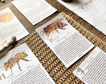 mini flashcards de estudo sobre abelhas