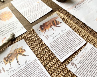 mini bee study flashcards