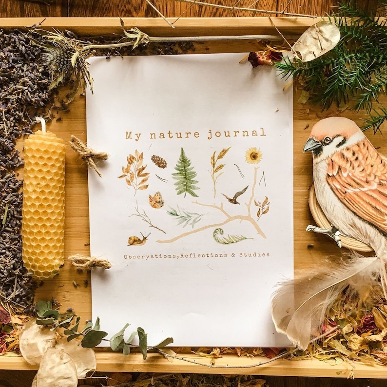 My nature journal image 1