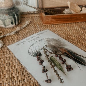 Pu&ograve; includere: Un cartoncino bianco con la scritta "Can you add some textures to the jellyfish?" stampata su di esso. Il cartoncino presenta un disegno in bianco e nero di una medusa ed &egrave; decorato con ramoscelli marroni, bacche marroni, una foglia verde e una piuma marrone e bianca.