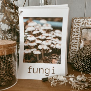 kaartenpakket natuurjacht: Reggio, Montessori, natuurschool