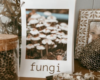 nature hunt card pack - Reggio, Montessori , nature school