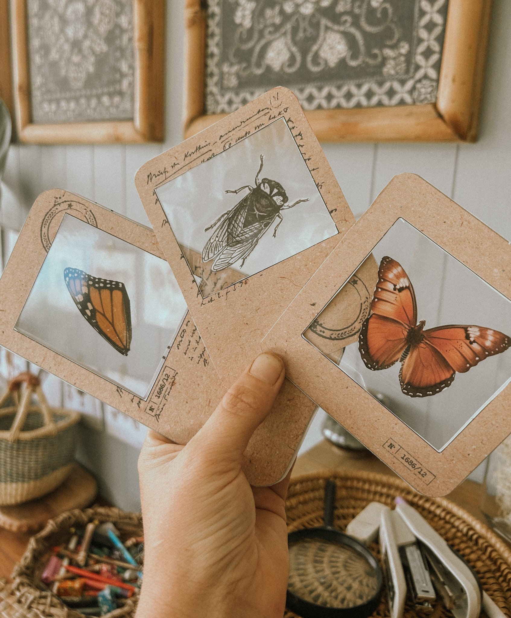 DIY specimen slides- wildschool - reggio emillia
