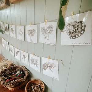 40x nature vocabulary flashcards - reggio inspired - nature homeschool -