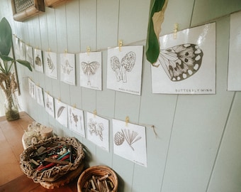 40x nature vocabulary flashcards - reggio inspired - nature homeschool -