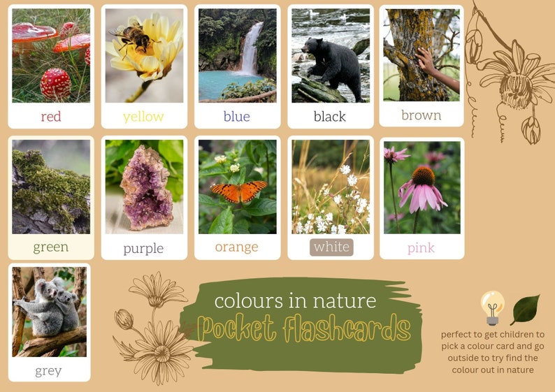 Op de afbeelding: Een set van 10 kleurrijke flashcards met afbeeldingen van de natuur, zoals een rode paddenstoel, een gele bloem, een blauwe waterval, een zwarte beer, een bruine boom, een groen mos, een paarse amethist, een oranje vlinder, witte bloemen en een roze bloem. De flashcards zijn gelabeld met de bijbehorende kleurennamen en hebben de titel "kleuren in de natuur Zak-flashcards".
