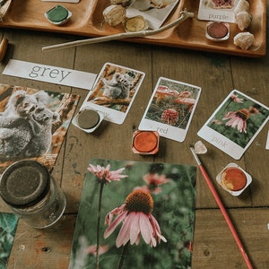 Op de afbeelding: Een tafelblad met verschillende items voor een kleurleeractiviteit. Er zijn verfpotten, kwasten en kaarten met afbeeldingen en de woorden "grijs", "rood", "roze", "bruin", "oranje", "paars" en "wit".