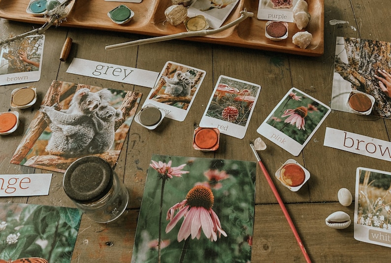 Op de afbeelding: Een tafelblad met verschillende items voor een kleurleeractiviteit. Er zijn verfpotten, kwasten en kaarten met afbeeldingen en de woorden "grijs", "rood", "roze", "bruin", "oranje", "paars" en "wit".