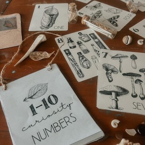 wildschool CURIOSITY NUMBERS 1-10 flashcard + bunting , holistic learning , reggio inspired,nature school
