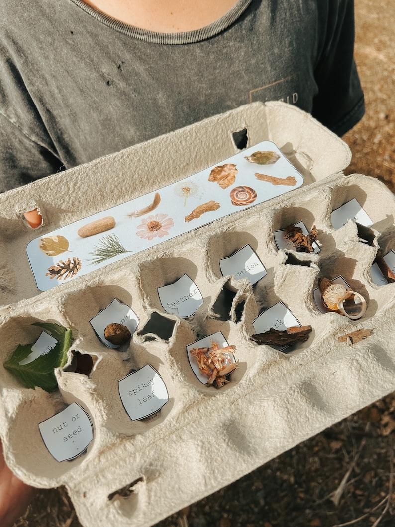 nature hunt egg carton forest school , bush school , nature school image 1