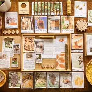 BEE STUDY morning basket Reggio inspired Montessori image 1