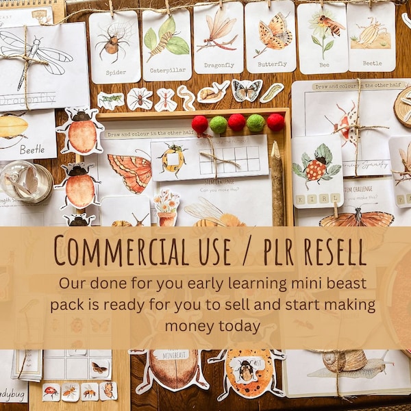 commercial use , kids early learning insect pack , resale plr