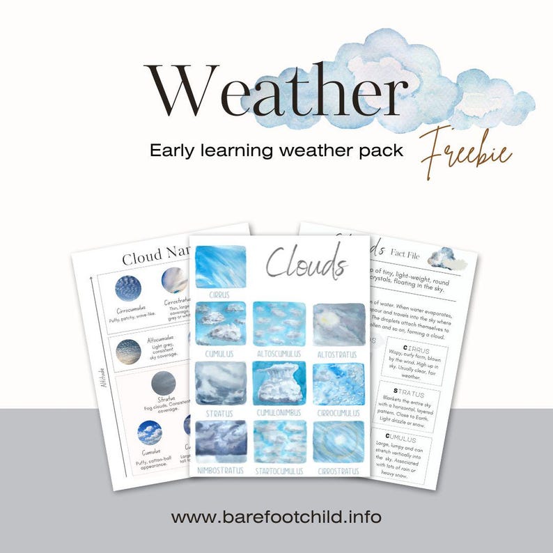 May include: A printable educational resource for early learners about weather. The resource includes a chart with different types of clouds and their names, along with a fact file about clouds. The chart features watercolor illustrations of clouds.
